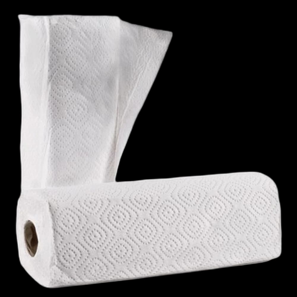 Twinsaver Paper Roller Towel - pkt of 2