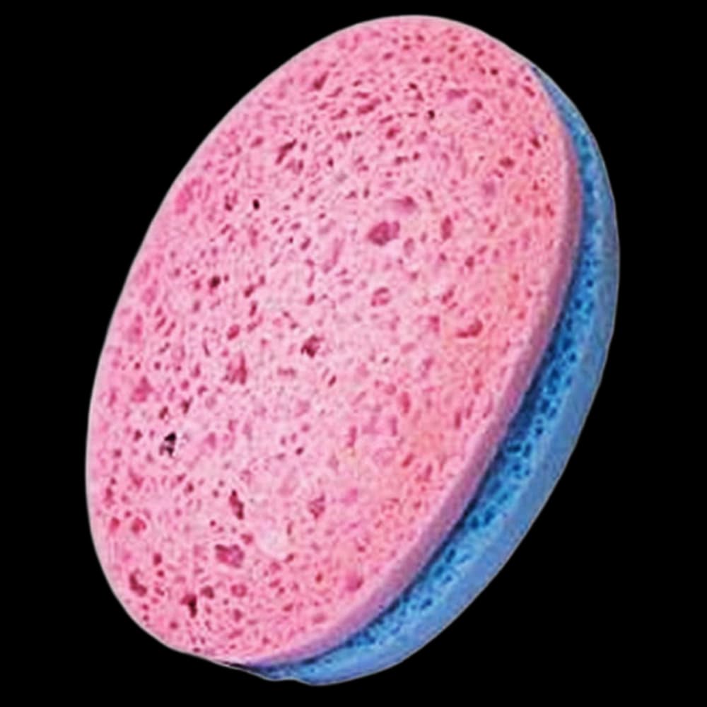 Cellulose Body Sponge - Oval