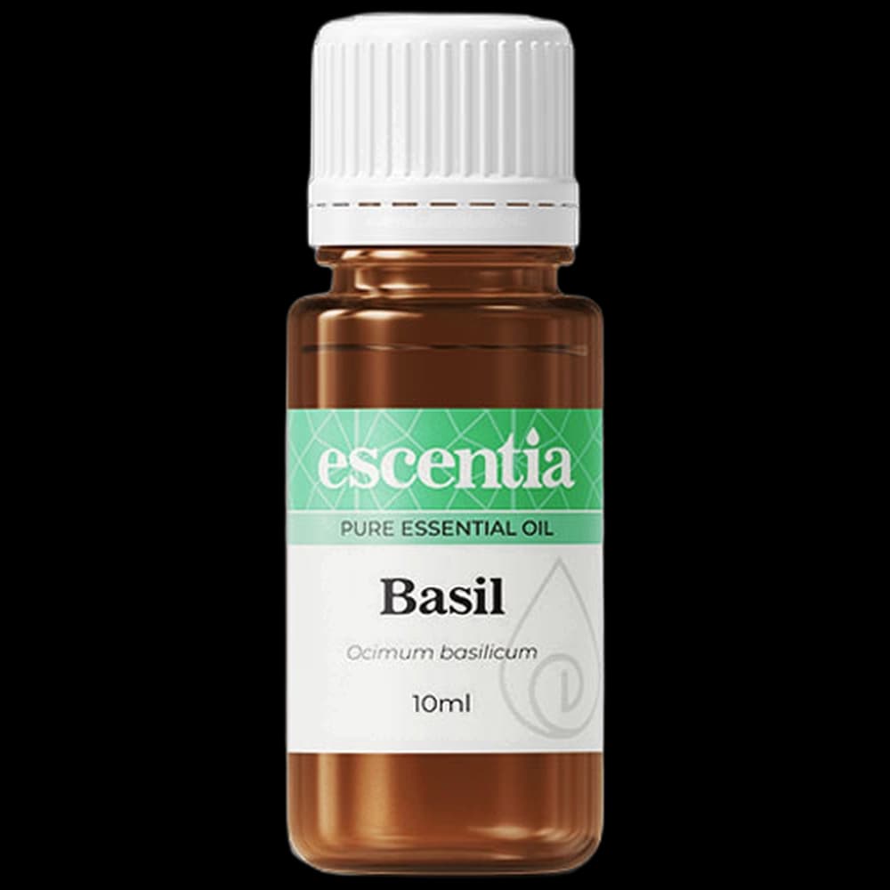 Essential Oil Basil 11ml