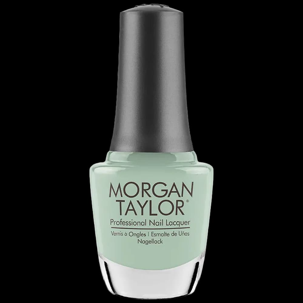 Mint Chocolate Chip 15ml - MT