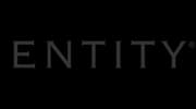 Entity