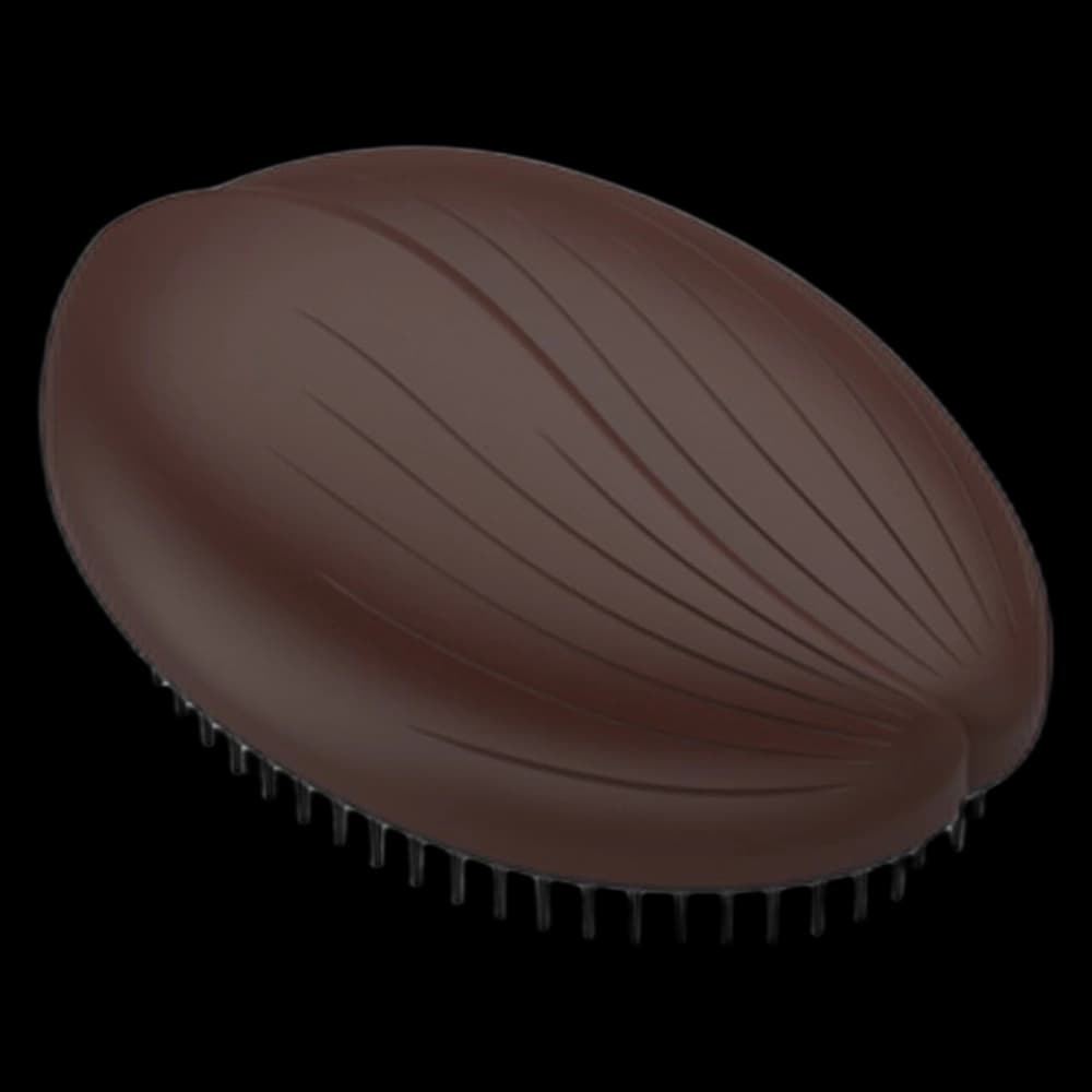 Bio Brush Coffee Bean Detangling Brush
