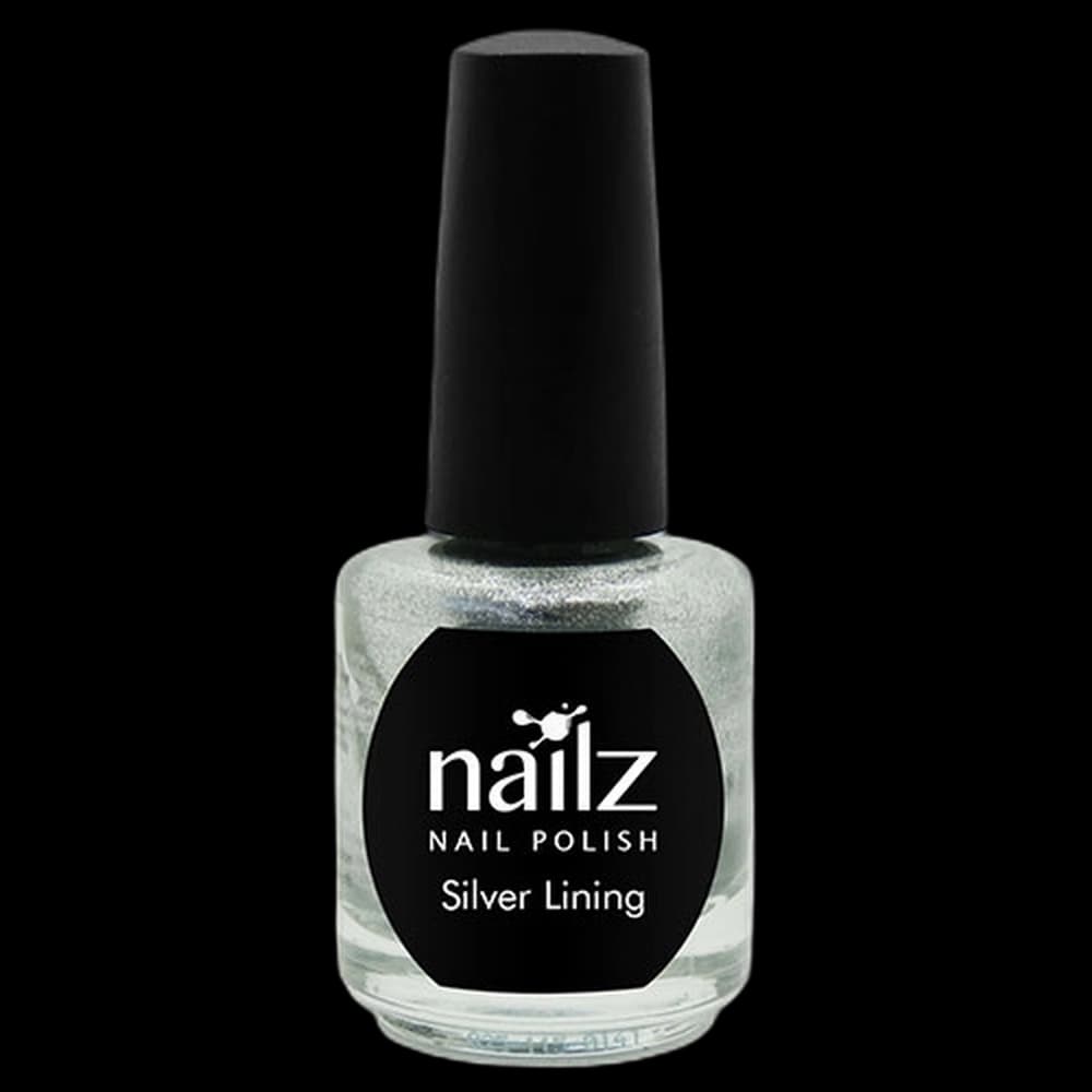 Nailz Nail Polish 15ml Silver Lining